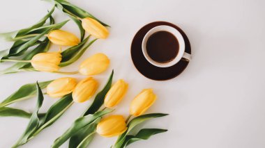 Üst görünüm kadınsı arka plan. Tatil kavramı, doğum günü, Uluslararası Kadınlar Günü. Moda blogu, düz konum