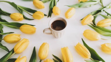 Beyaz arka planda sarı lale çerçeveli bir kahve fincanı. Tatil, doğum günü, Paskalya, Uluslararası Kadınlar Günü. 