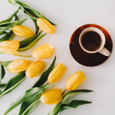 Beyaz arka planda bir buket lale olan bir hediye kutusu. Üst Manzara Düzlüğü. Doğum günü kavramı, Paskalya, Uluslararası Kadınlar Günü