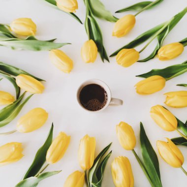 Beyaz arka planda sarı lale çerçeveli bir kahve fincanı. Tatil, doğum günü, Paskalya, Uluslararası Kadınlar Günü. 
