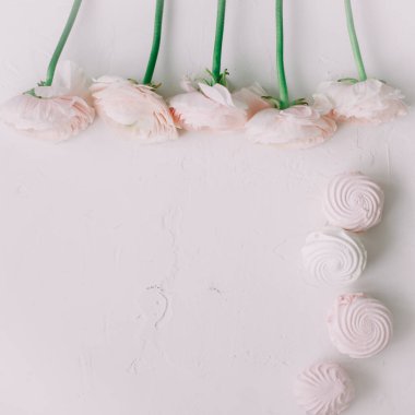 Pembe Ranunculus. Düğün ve doğum günü davetiyeleri ya da tebrik kartları için romantik bir geçmiş. Bahar duvar kağıdı. Boşluğu kopyala.