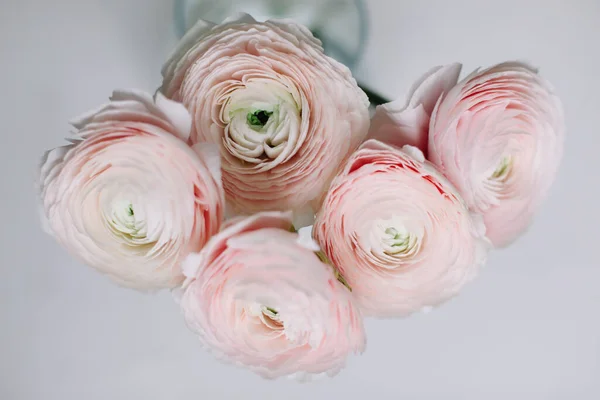 粉红Ranunculus 。婚礼和生日请柬或贺卡的浪漫花卉背景。春天墙纸。复制空间. — 图库照片