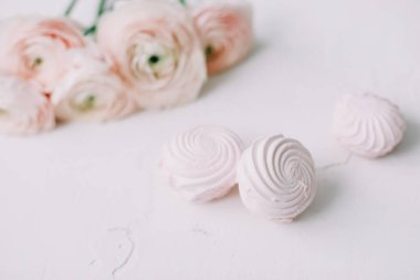 Bahar duvar kağıdı. Beyaz arka planda pembe gül çiçekleri ve şekerlemeler. Çiçek kompozisyonu. Düz konum, üst görünüm, kopyalama alanı. 