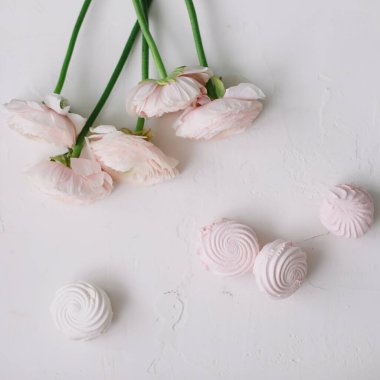 Bahar duvar kağıdı. Beyaz arka planda pembe çiçekler ve şekerlemeler. Çiçek kompozisyonu. Düz konum, üst görünüm, kopyalama alanı. 