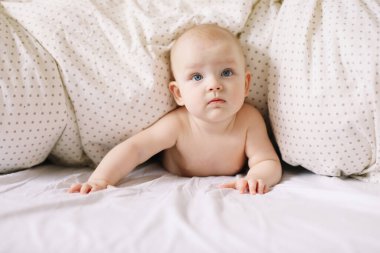 Karnını doyuran küçük bir çocuk. Sevimli bebek beyaz yatak odasında emeklemeyi öğreniyor. Yatakta yatan sevimli komik bebek.. 