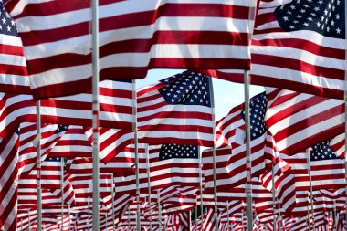 Alan Amerikan bayrakları