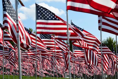 Alan Amerikan bayrakları