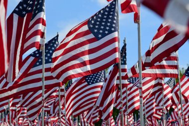 Alan Amerikan bayrakları