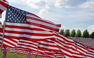 Alan Amerikan bayrakları