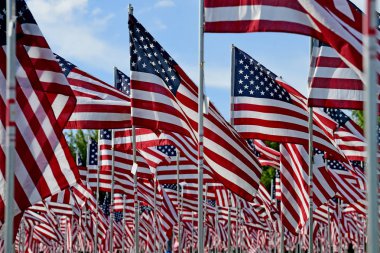 Alan Amerikan bayrakları