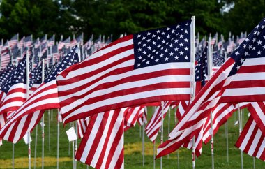 Alan Amerikan bayrakları