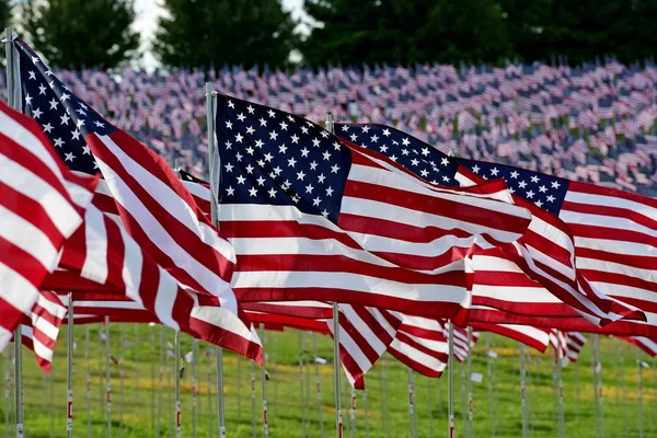 Campo Bandeiras Americanas — Fotografia de Stock