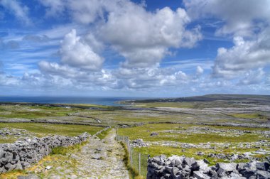 Inishmore Aran Islands, İrlanda.