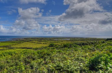 Inishmore Aran Islands, İrlanda.