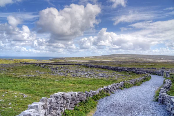 Inishmore Aran Islands, İrlanda.