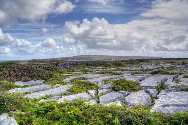 Inishmore Στα Νησιά Aran Ιρλανδία — Φωτογραφία Αρχείου