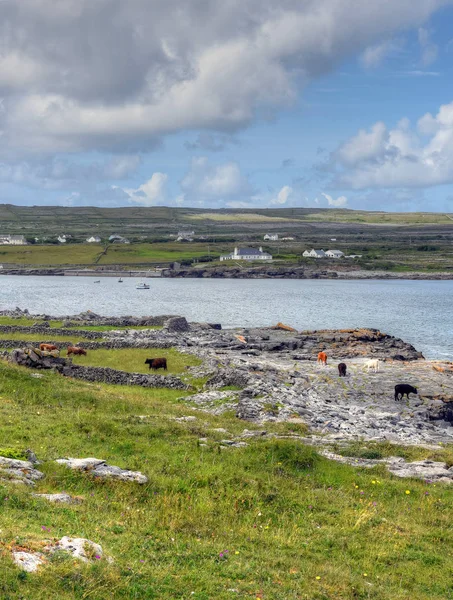 Inishmore Aran Islands Írország — Stock Fotó