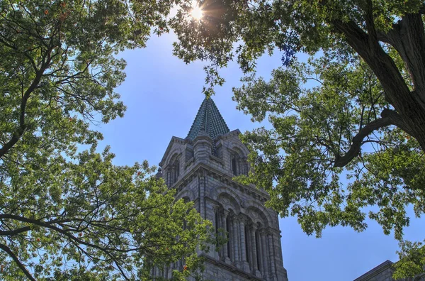 Louis Missouri Usa August 2017 Cathedral Basilica Saint Louis Lindell — Stock Photo, Image