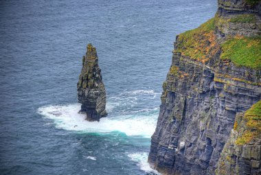 Moher İrlanda'nın kayalıklarla