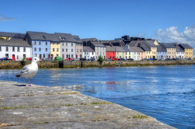 Galway, İrlanda Claddagh Galway.