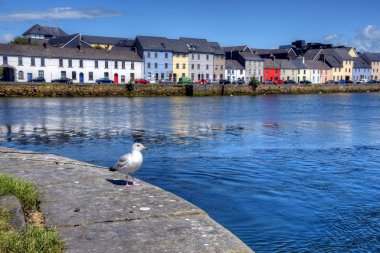 Galway, İrlanda Claddagh Galway.