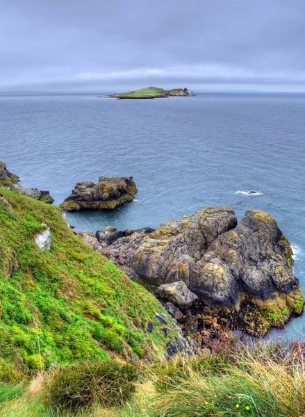 Die Howth Cliff Walk Außerhalb Dublins Irland — Stockfoto