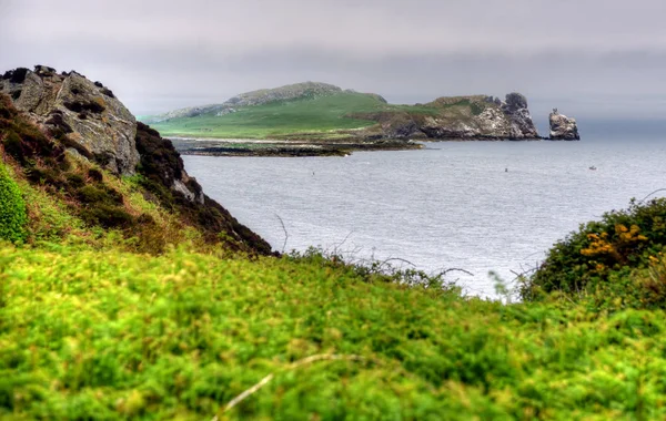 Die Howth Cliff Walk Außerhalb Dublins Irland — Stockfoto