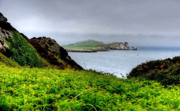 Acantilado Howth Paseo Fuera Dublín Irlanda — Foto de Stock