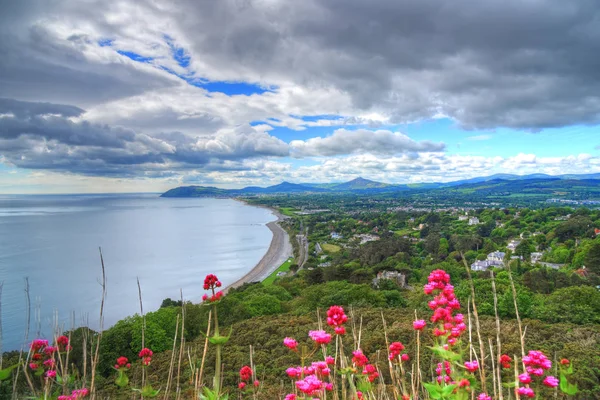Amadora Hill Dublin, İrlanda görünümünden. 