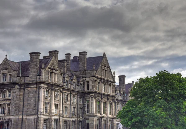 Dublin Irland Maj 2017 Gården Trinity College Och Den Campanile — Stockfoto