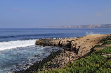 Deniz Yüzme, gölet ve göllerde ve güneşin, La Jolla, Kaliforniya (yakınındaki San Diego içinde yatan aslanları).