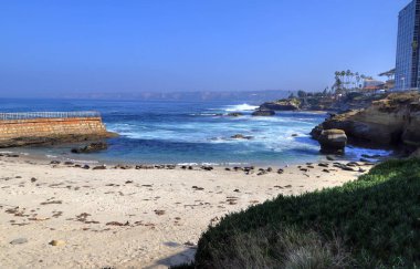 California, San Diego dışında La Jolla Sahili.