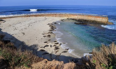 California, San Diego dışında La Jolla Sahili.