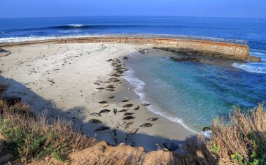 California, San Diego dışında La Jolla Sahili.