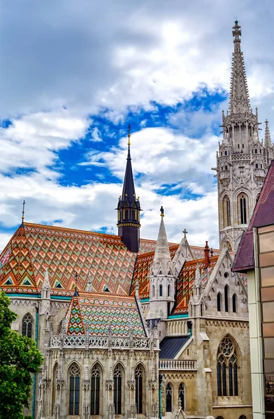 Die Kirche Der Annahme Der Budaer Burg Besser Bekannt Als — Stockfoto