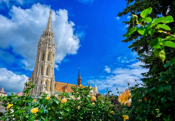 位于匈牙利布达佩斯的布达城堡 通常被称为马蒂亚斯教堂 的教堂 — 图库照片