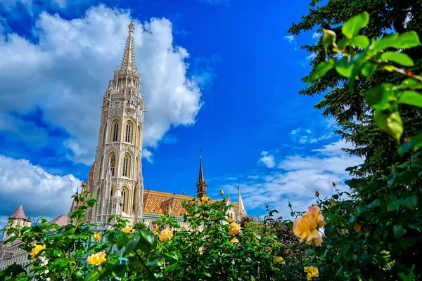 Die Kirche Der Annahme Der Budaer Burg Besser Bekannt Als — Stockfoto