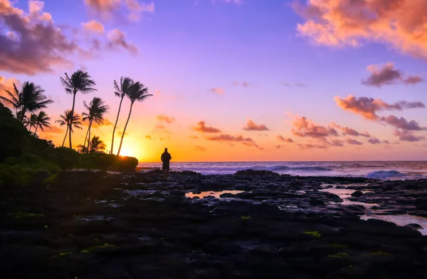 Sonnenaufgang Über Der Küste Von Kauai Hawaii — Stockfoto