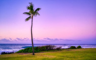 Hawaii, Kauai sahilinde gün doğumu.