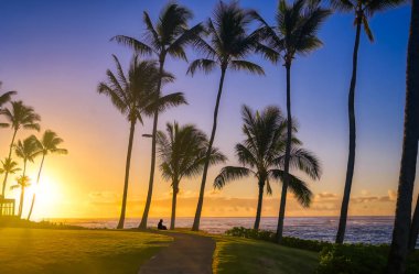 Hawaii, Kauai 'de bir siluet güneşin doğuşunu izliyor..