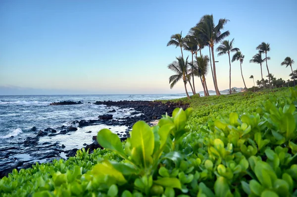 Sonnenaufgang Über Der Küste Von Kauai Hawaii — Stockfoto