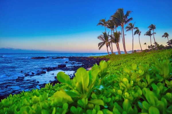 Ανατολή Ηλίου Πάνω Από Τις Ακτές Του Καουάι Χαβάη — Φωτογραφία Αρχείου
