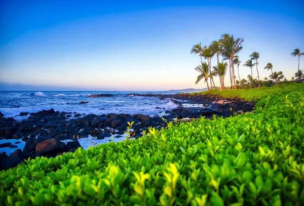 Sonnenaufgang Über Der Küste Von Kauai Hawaii — Stockfoto