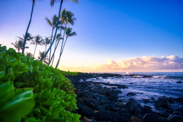Ανατολή Πάνω Από Την Παραλία Στο Kauai Χαβάη — Φωτογραφία Αρχείου