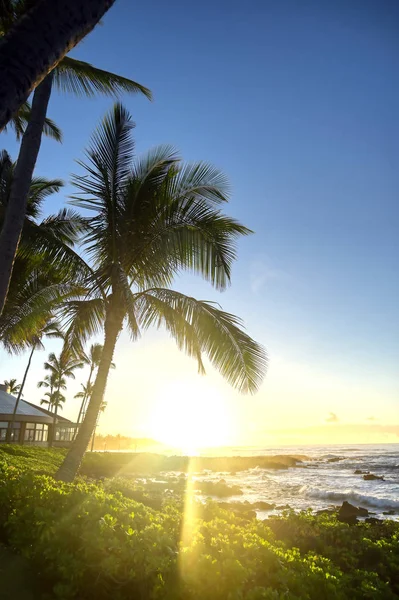Zonsopgang Boven Het Strand Kauai Hawaï — Stockfoto
