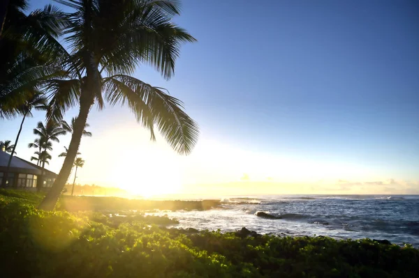 Amanecer Sobre Playa Kauai Hawaii —  Fotos de Stock