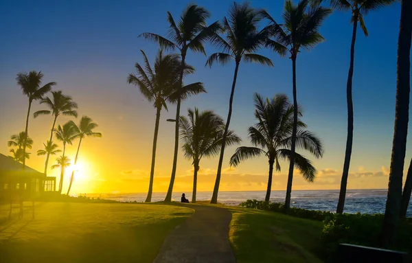 Una Silueta Observa Amanecer Kauai Hawai —  Fotos de Stock