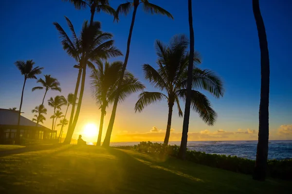 Una Silhouette Guarda Alba Kauai Hawaii — Foto Stock