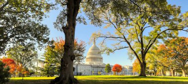 Bina Washington, ABD capitol dc.