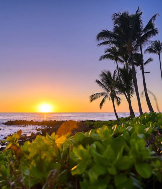 Hawaii, Kauai sahilinde gün batımı.
